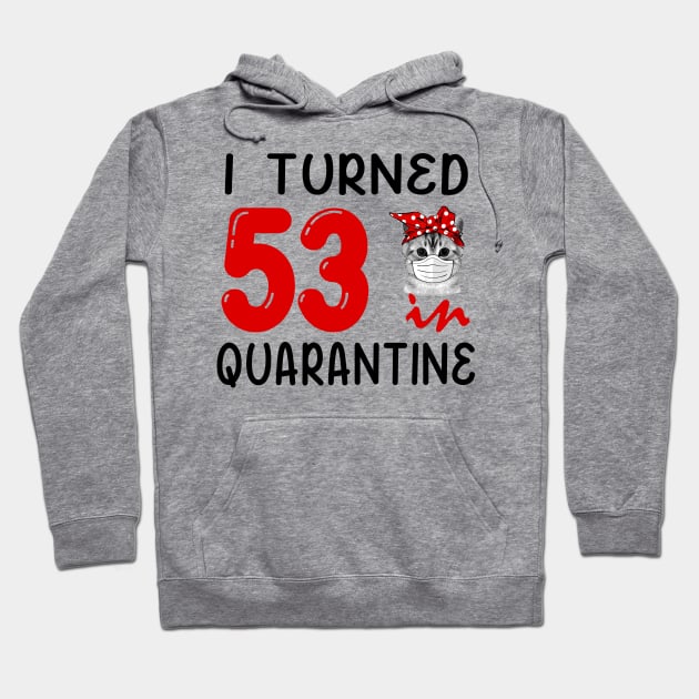 I Turned 53 In Quarantine Funny Cat Facemask Hoodie by David Darry